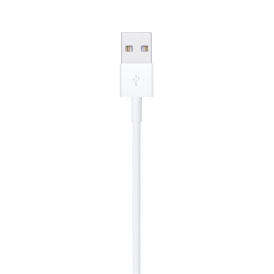 Apple "Lightning to USB Cable" (0.5 m)