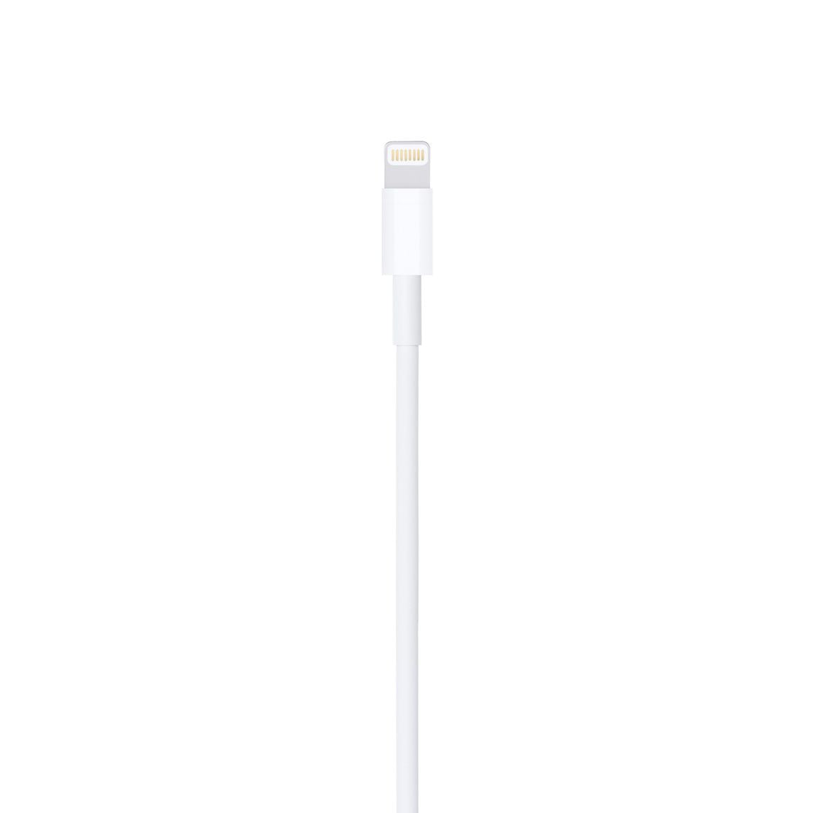 Apple "Lightning to USB Cable" (0.5 m)