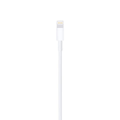 Apple "Lightning to USB Cable" (0.5 m)