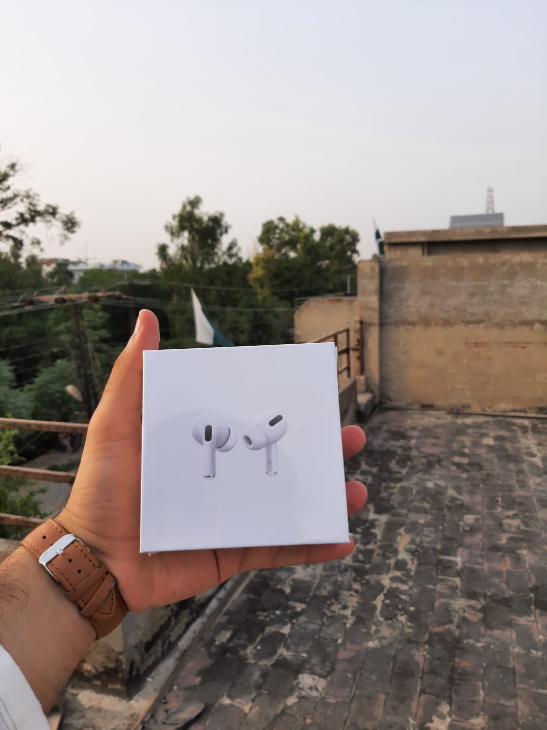 Apple AirPods Pro Titanium Edition (ANC)